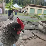 게스트하우스 L'adapte Raon-lʼÉtape