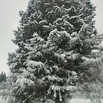 L'adapte * Raon-lʼÉtape