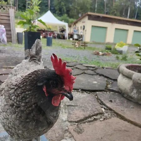 Maison d'hôtes L'adapté Raon-lʼÉtape