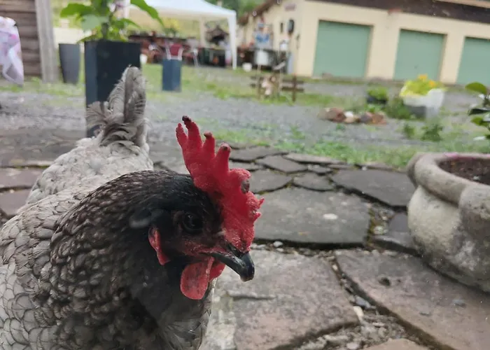 ゲストハウス L'adapte Raon-lʼÉtape