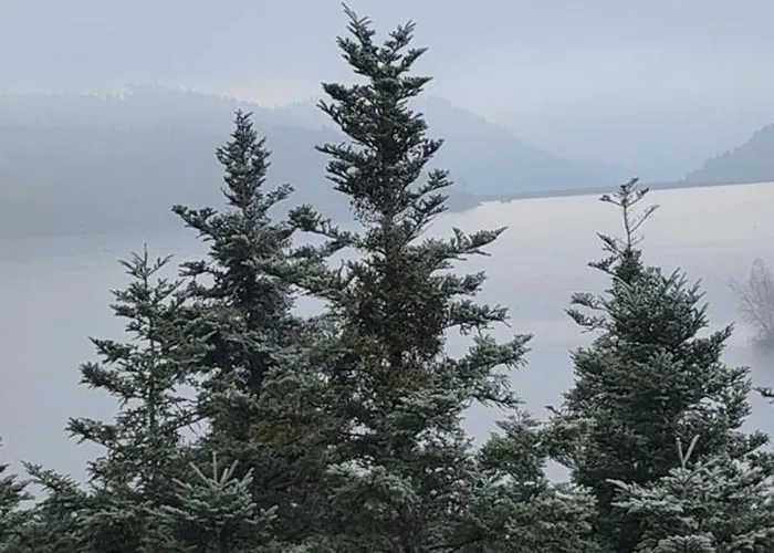 ゲストハウス L'adapte *