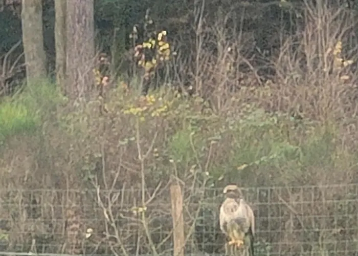 ゲストハウス L'adapte Raon-lʼÉtape