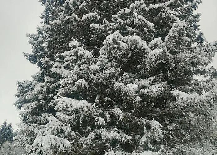 L'adapte * Raon-lʼÉtape