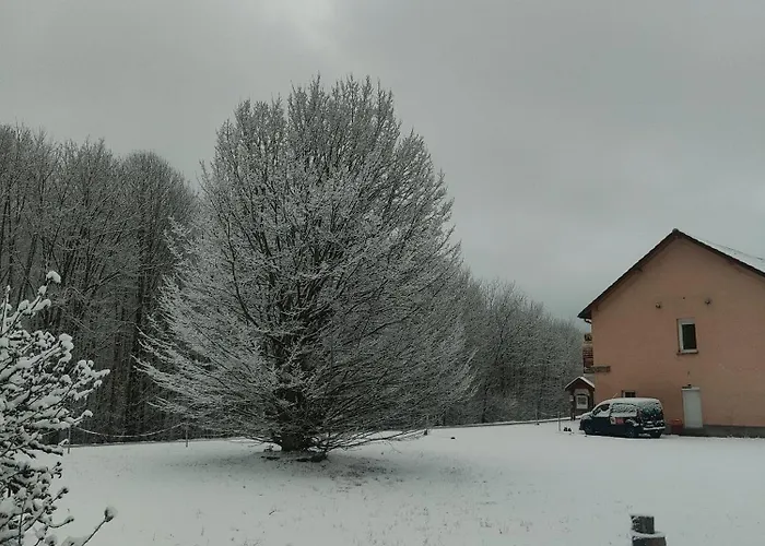 L'adapte ゲストハウス *