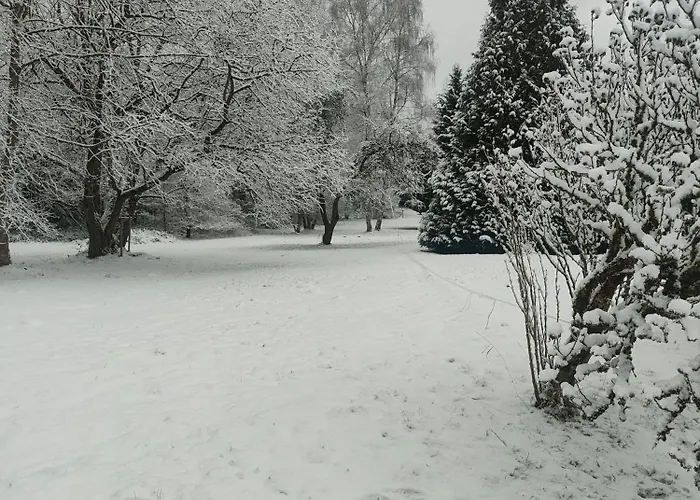 L'adapte * Raon-lʼÉtape