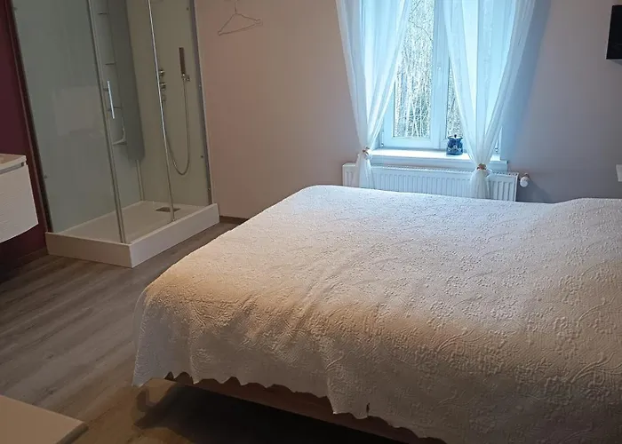 ゲストハウス L'adapte Raon-lʼÉtape